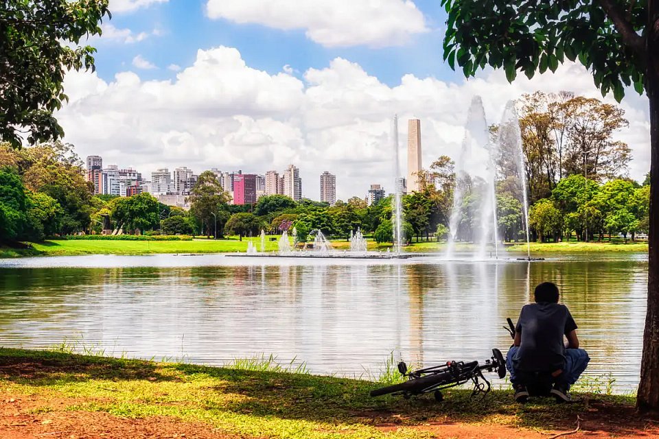 Explorando a Magia de Moema: Um Refúgio Encantador em São Paulo